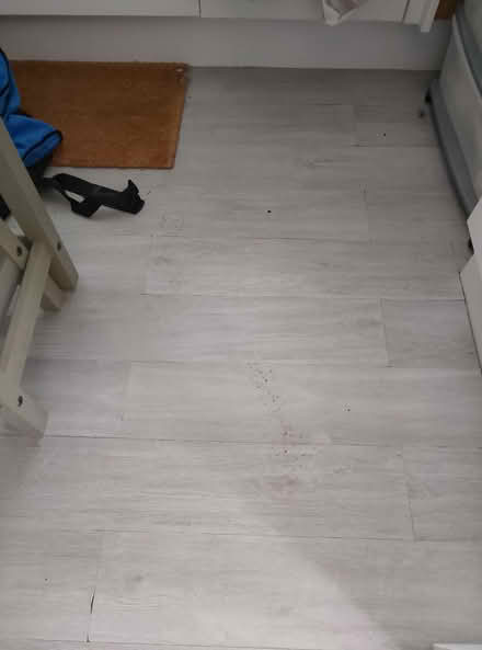 Photo of free Self adhesive floor planks (N5 Highbury) #1