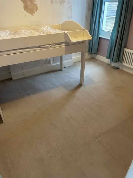 Photo of free Used Beige Carpet (Penge, SE20) #1