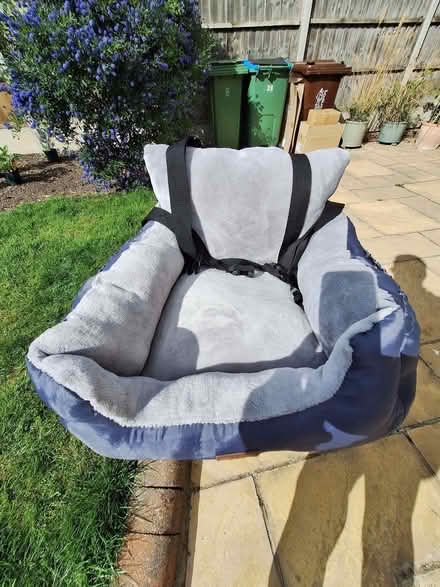 Photo of free Car bed for small dog (Wendover HP22) #2