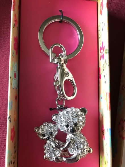Photo of free Cute Keyring (Selsdon CR2) #1