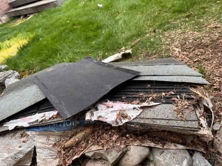Photo of free Shingles (Discovery Bay Ajax) #1