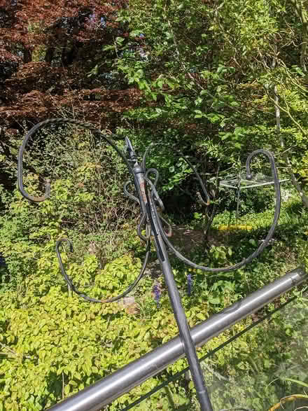 Photo of free Bird feeder (Tavistock) #3
