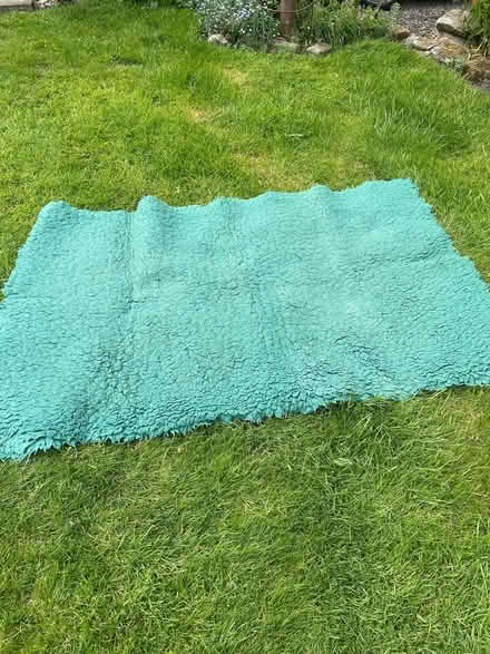 Photo of free Large Dog Fleece (Dutton PR3) #1
