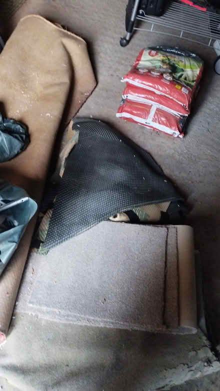 Photo of free Carpet (Longthorpe, Peterborough PE3) #1