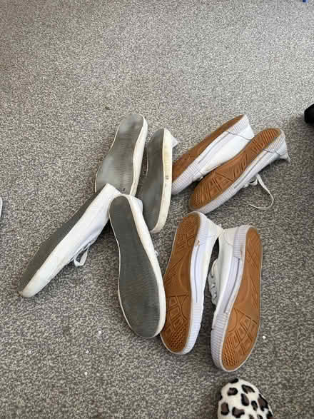 Photo of free Plimsols (Sacriston DH7) #2