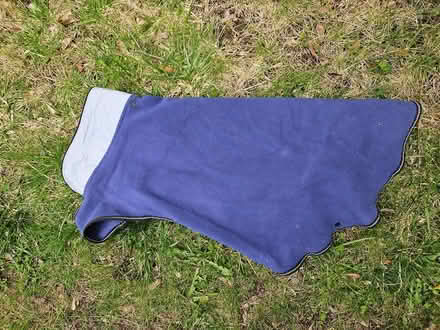 Photo of free Top Paw doggy fleece (Edinburgh/Paisley) #1