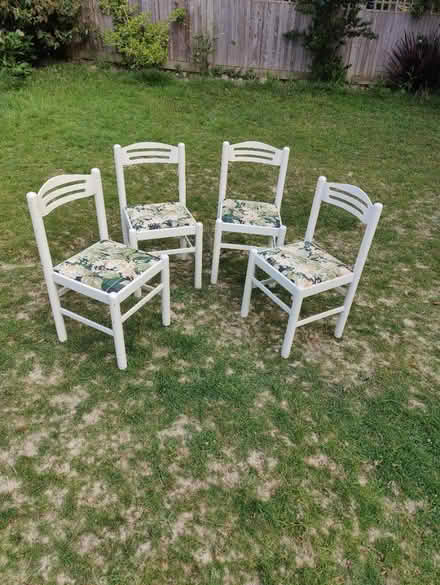 Photo of free Chairs x4 (Crowborough TN6) #1