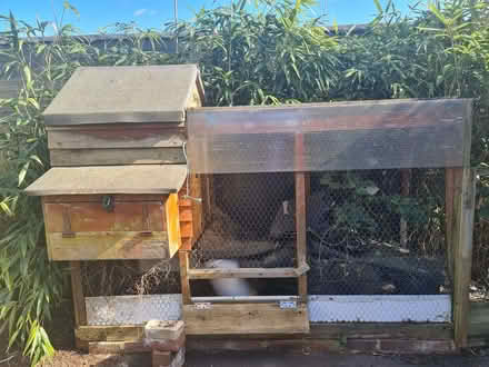 Photo of free Hen House (TN23) #4