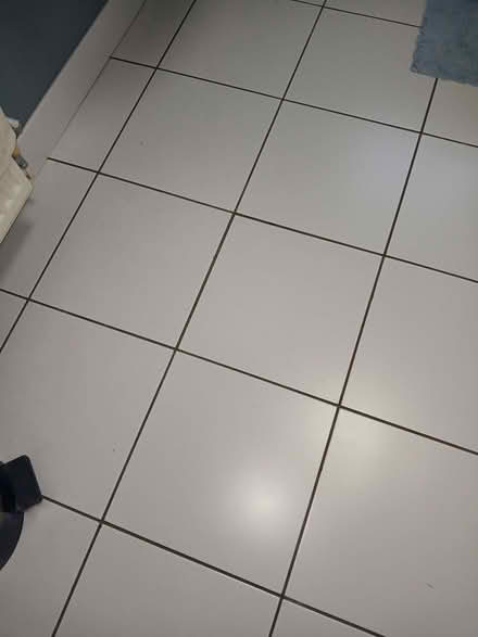 Photo of free White wall and floor tiles (Rydon Park EX2) #1