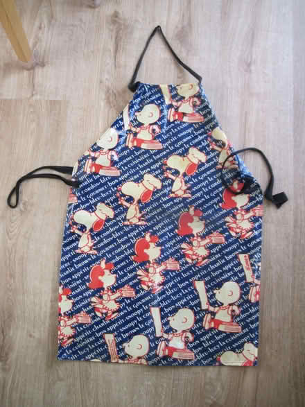 Photo of free 'Peanuts' vinyl apron (Cambuskenneth FK9) #1