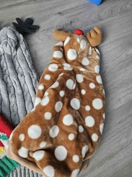 Photo of free XS Dog Jumpers and Coat (Bestwood Park Estate NG5) #4