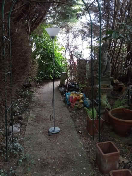 Photo of free Floor-standing lamp (Three Bridges RH10) #1