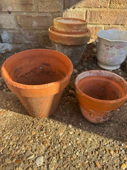 Photo of free Flower pots (Warners End HP1) #2