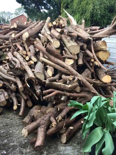 Photo of free Logs, firewood. (Exhall CV7) #2