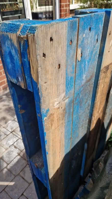 Photo of free Pallet (Cheadle SK8) #2