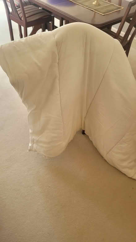 Photo of free Single duvet (Bromley BR1) #1