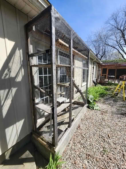 Photo of free Catio / animal enclosure (Mooney's bay) #3