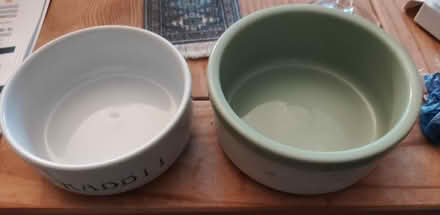 Photo of free 2 x rabbit/cat/dog feeding bowls (West Wick, BS24) #1