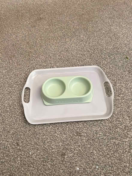 Photo of free Cat/dog bowl (Sacriston DH7) #1