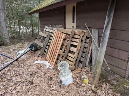 Photo of free A dozen or so skids (Glebe / Dow's Lake) #1