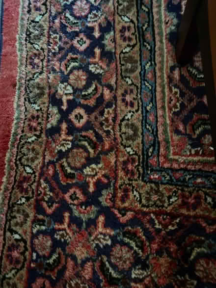 Photo of free 10ft by 13ft rug (Cobham, Kent Da12) #1
