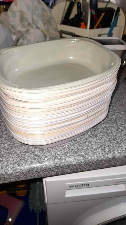 Photo of free food trays (Farnham GU9) #1
