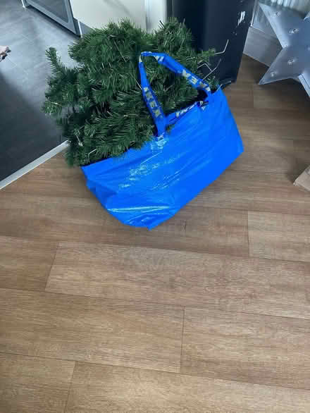 Photo of free Christmas tree (Chichester) #2