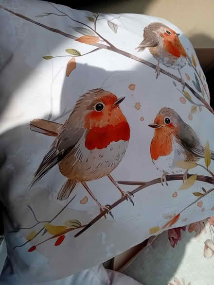 Photo of free Cushions (MK41) #1