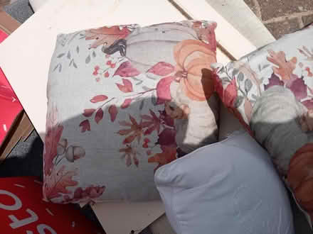 Photo of free Cushions (MK41) #3
