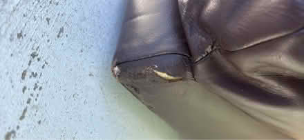 Photo of free Brown leather sofa (Burngreave S4) #4