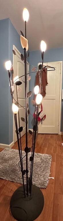 Photo of free floor lamp (East Palo Alto) #1