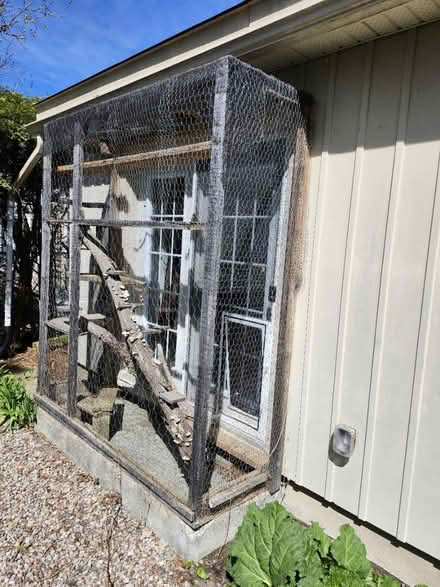 Photo of free Catio / animal enclosure (Mooney's bay) #1
