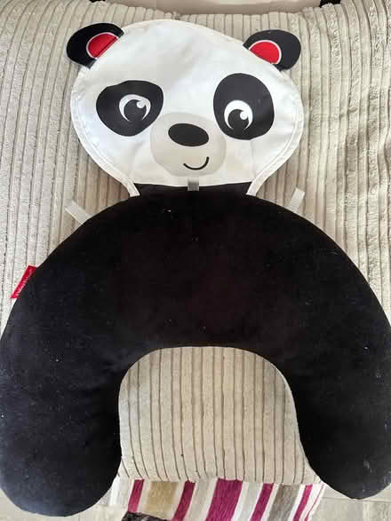 Photo of free Baby Cushion (Eaton, NR4) #1