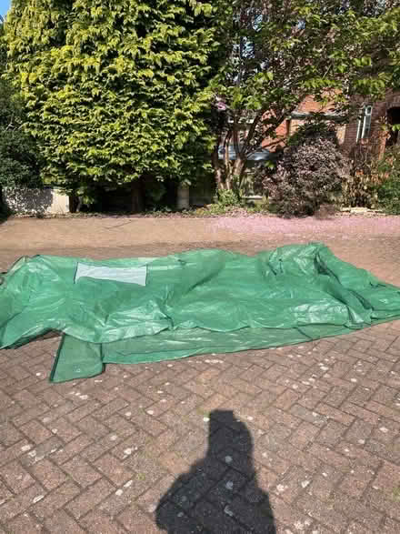 Photo of free Greenhouse cover? (Golden Green TN11) #1