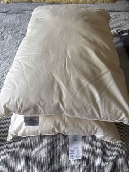 Photo of free Pillows (Summertown OX2) #1