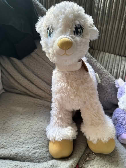 Photo of free Some teddies and keyrings (Lamberhead Green WN5) #3