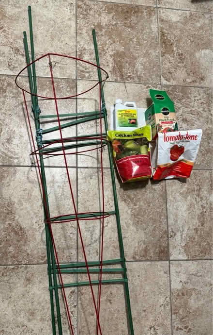 Photo of free Tomato Growing supplies (11218 Windsor Terr / Kensingto) #1