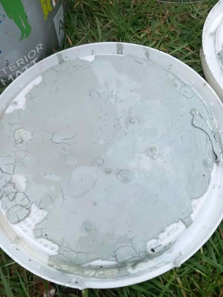 Photo of free 7.5 litres Valspar matt emulsion Dried Rocket (Bowes Park N22) #2