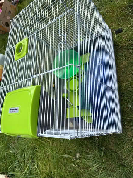 Photo of free Hamster cage (Heath Hayes WS12) #1