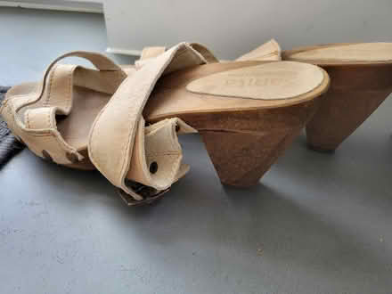 Photo of free Sanita sandles size 5/6 (Tamworth) #3