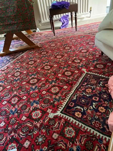 Photo of free 10ft by 13ft rug (Cobham, Kent Da12) #2