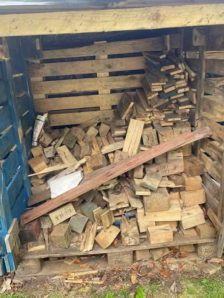 Photo of free Firewood (Kilbarchan) #1