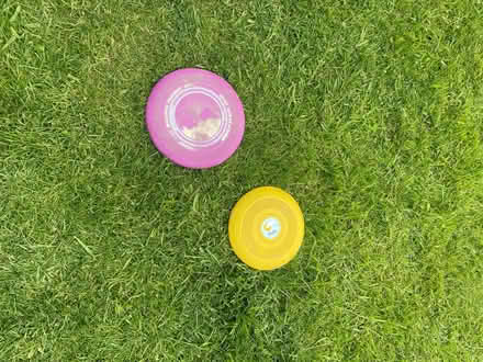 Photo of free Frisbees (Dutton PR3) #1