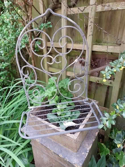Photo of free Plant Holder (North Tonbridge TN10) #1