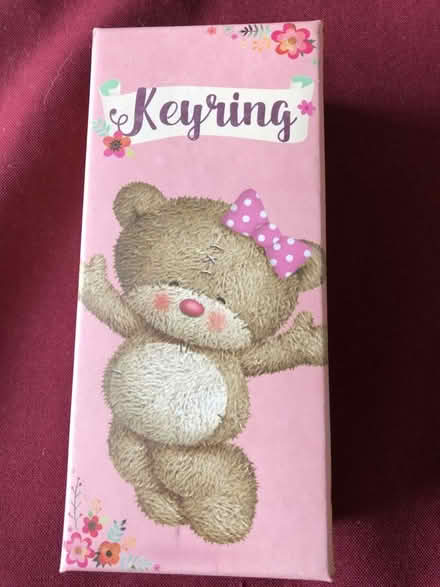Photo of free Cute Keyring (Selsdon CR2) #2