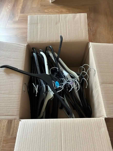 Photo of free Adult coat hangers (Abingdon OX14) #1