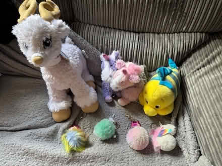 Photo of free Some teddies and keyrings (Lamberhead Green WN5) #1