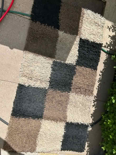 Photo of free Rug (Elmdon Heath B91) #1