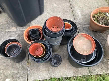 Photo of free Gardening pots (Kings Park G44) #1