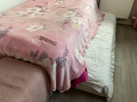 Photo of free Trundle bed. 3’ (Charmouth DT6) #1